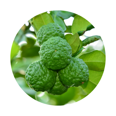 Bergamot Essential Oil