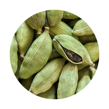 Cardamom Essential Oil