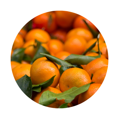 Clementine Essential Oil