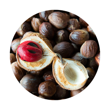 Nutmeg Essential Oil